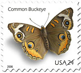 24c Common Buckeye
03/08/2006