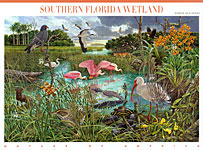 39c Southern Florida Wetland
10/04/2006